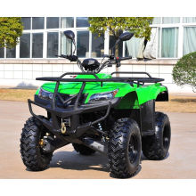 Запуск утилиты ATV 250cc внедорожных электромобиля ATV (MDL GA009-3)